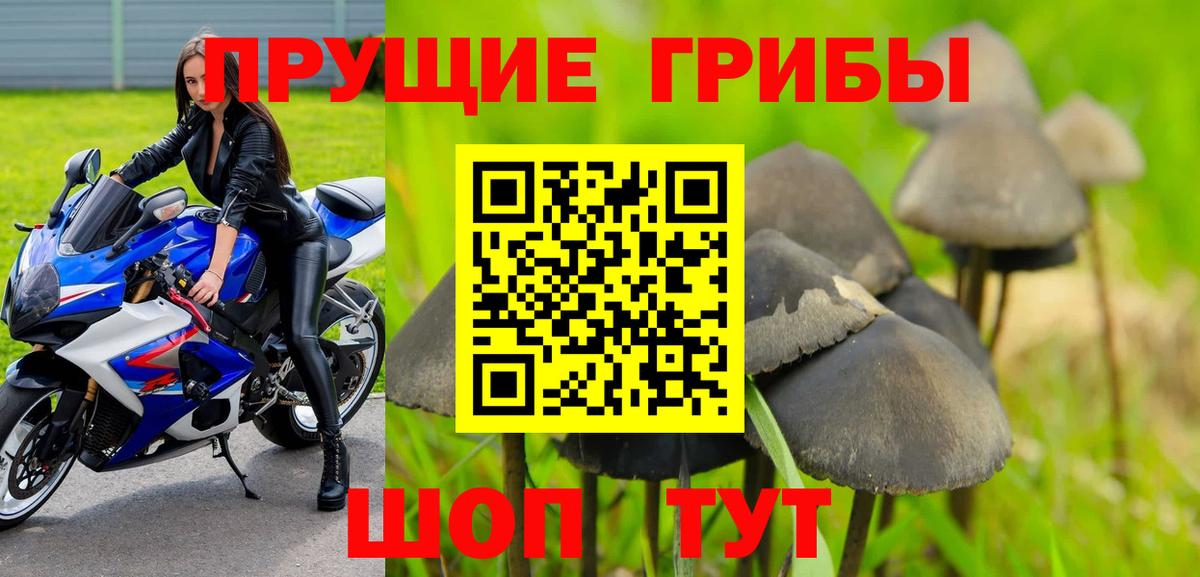 Новозыбков  Галлюциногенные грибы ЛСД  Вход с VPN  Псилоцибиновые грибы Magic Shrooms 