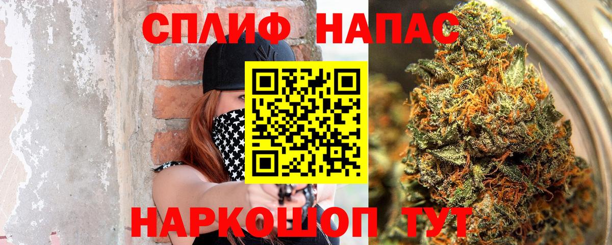 Новозыбков  Каннабис сатива  Каннабис сатива  Вход с VPN  МАРИХУАНА семена 